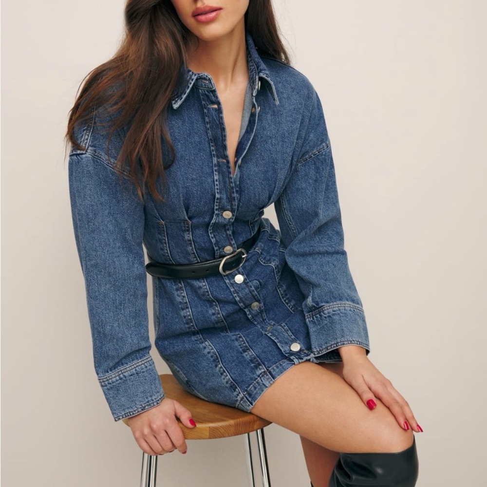 Roxanna Cinch Waist Denim Dress